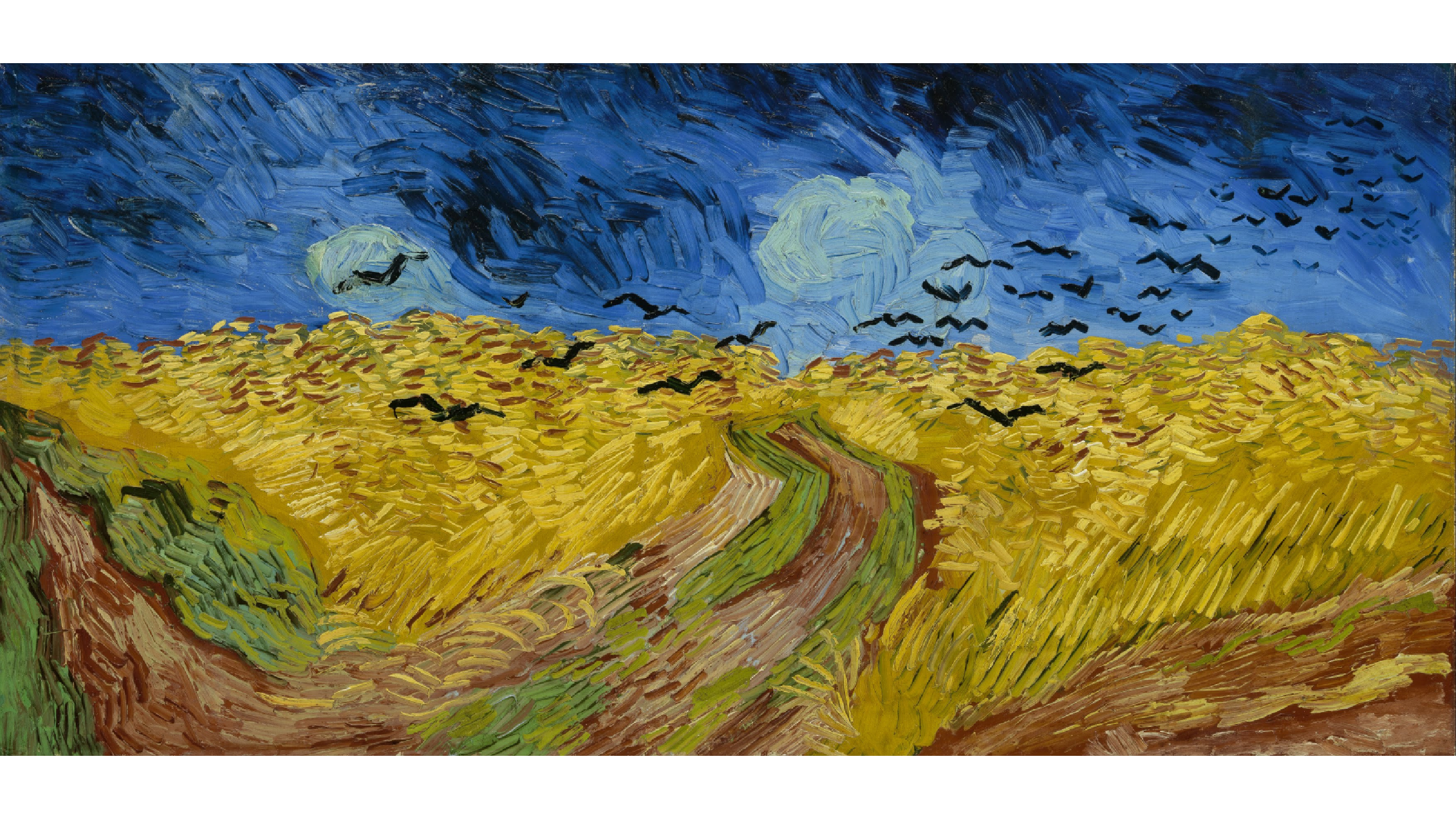 oil painting showing a wheat field in yellow tones, with a road in the middle, a dark blue in the sky, with crows flying over the field.